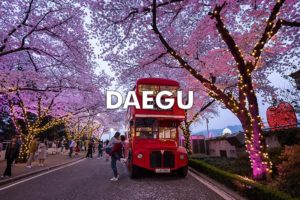 daegu south korea teaching