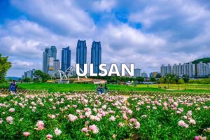 ulsan south korea teaching
